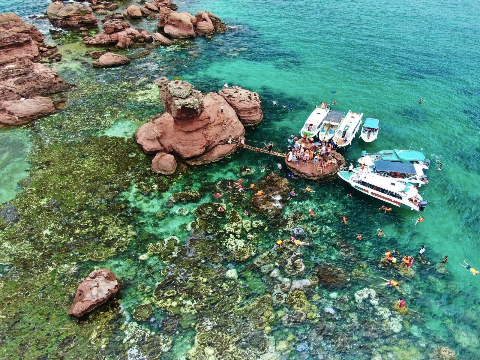 Crystal-clear waters and vibrant coral reefs